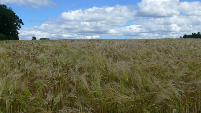 Auf dem Gempenplateau