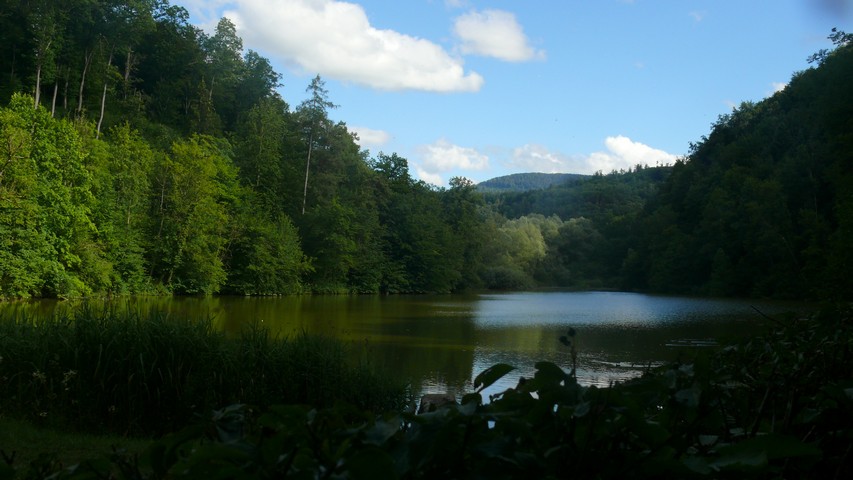 Der Seewener See