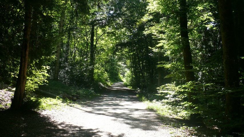 Auf dem Weg in Richtung Baldegg