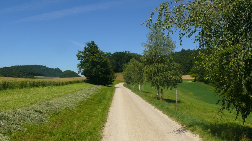 Wanderweg bei Linn