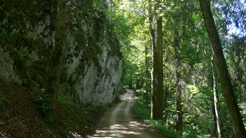 Auf dem Weg zur Belchenflue (2)