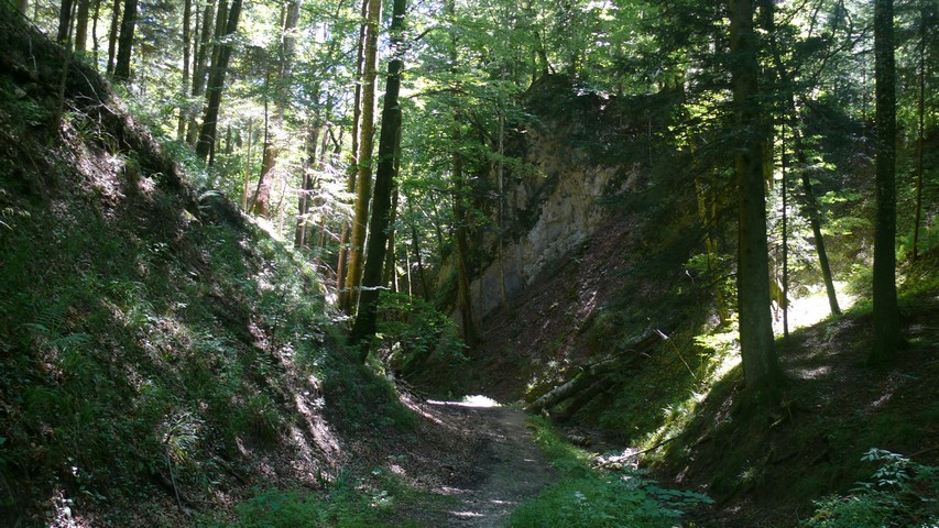 Schattige Schlucht vor Bärenwil