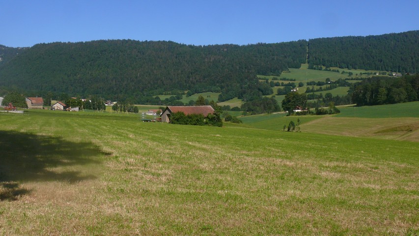 Hier wuchs Didier Cuche auf