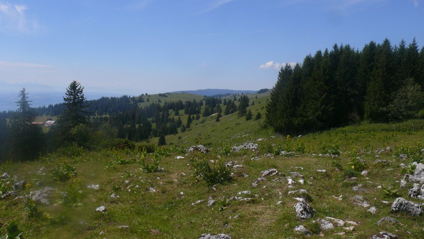 Vom Tête de Ran zum Mont Racine (1)