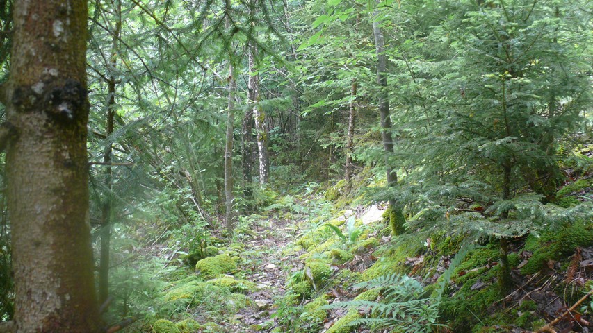 Der letzte Anstieg auf dem alten Wanderweg zum Chneu