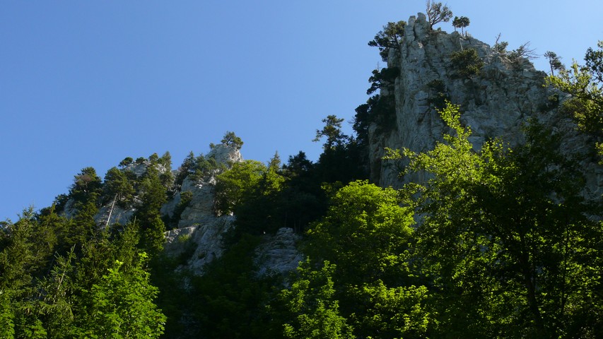 In der Nรคhe von Aiguilles de Baulmes