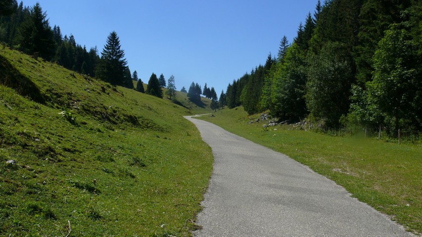 Nach dem Col du Mollendruz geht es weiter bergauf