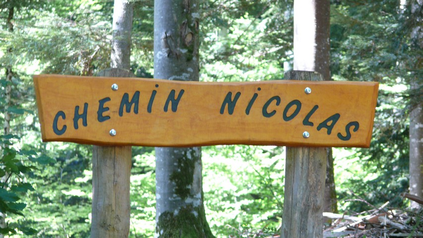 ...wusste ich doch, dass das MEIN Weg ist!