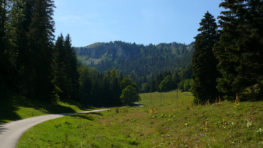 Die Hitzewelle mit Temperaturen über 35 Grad bekam ich heute auch in der Höhe zu spüren - es war einfach heiss, und auch im Schatten gab es nur wenig Abkühlung!