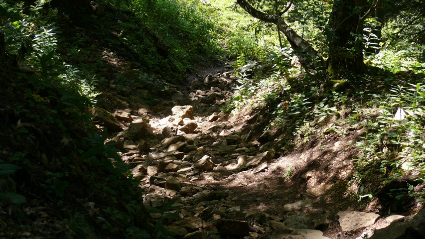 Ist das ein Wanderweg, oder holt der Bach neue Steine?