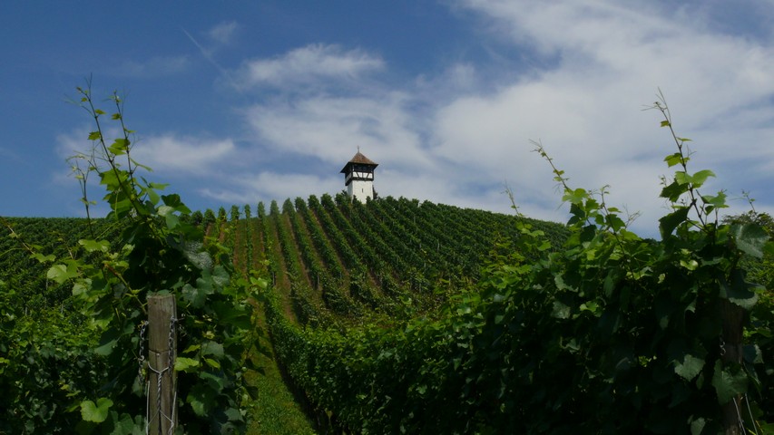 Do 28.07.2022 | Beinwil – Friedrichshafen