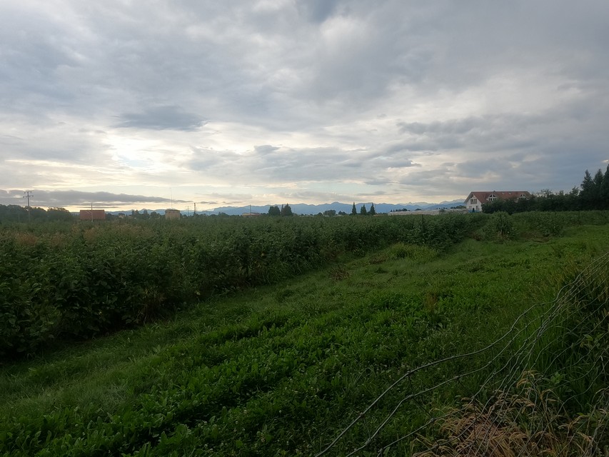 Auf der Fahrt nach Lindau