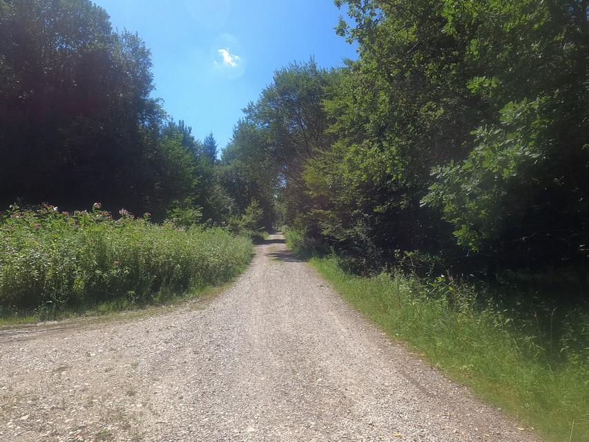 ...und da fahre ich hin