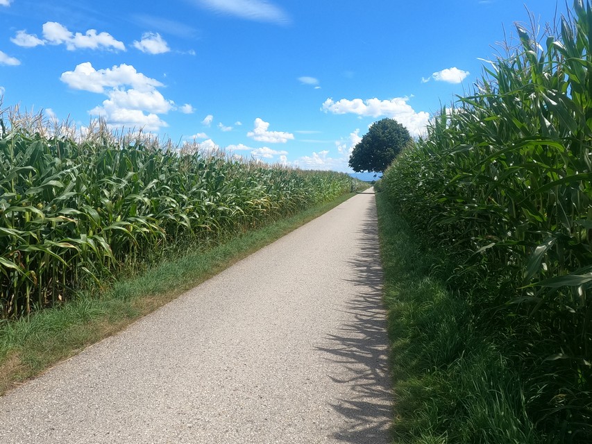 Mo 01.08.2022 | Wörthsee – Schechen