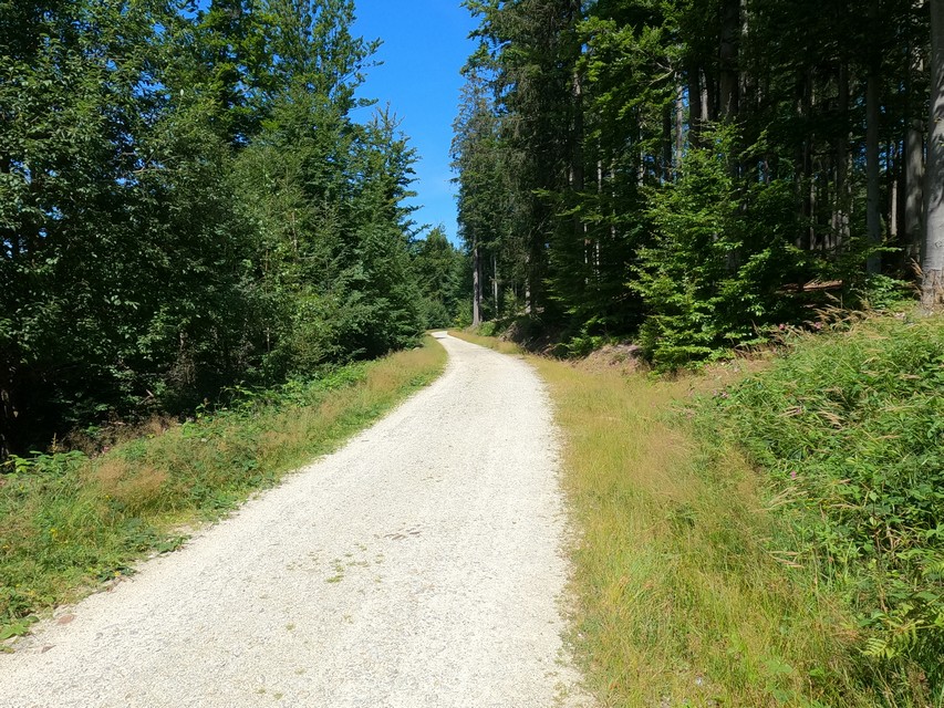 Nationalpark-Radweg Bayerischer Wald