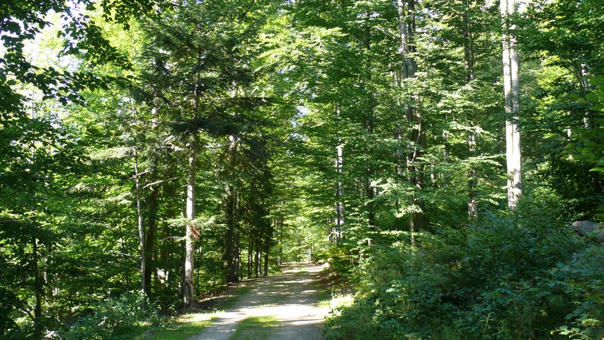 Radweg Bayerischer Wald