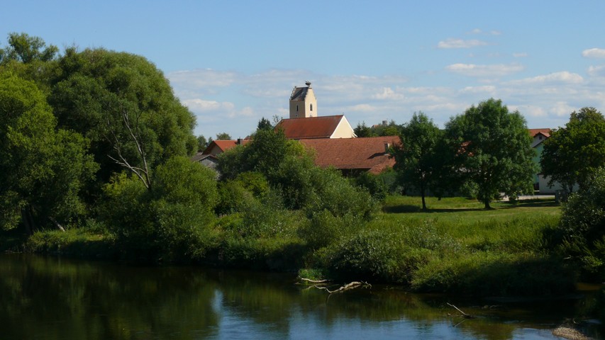 Störche auf dem Kirchturm