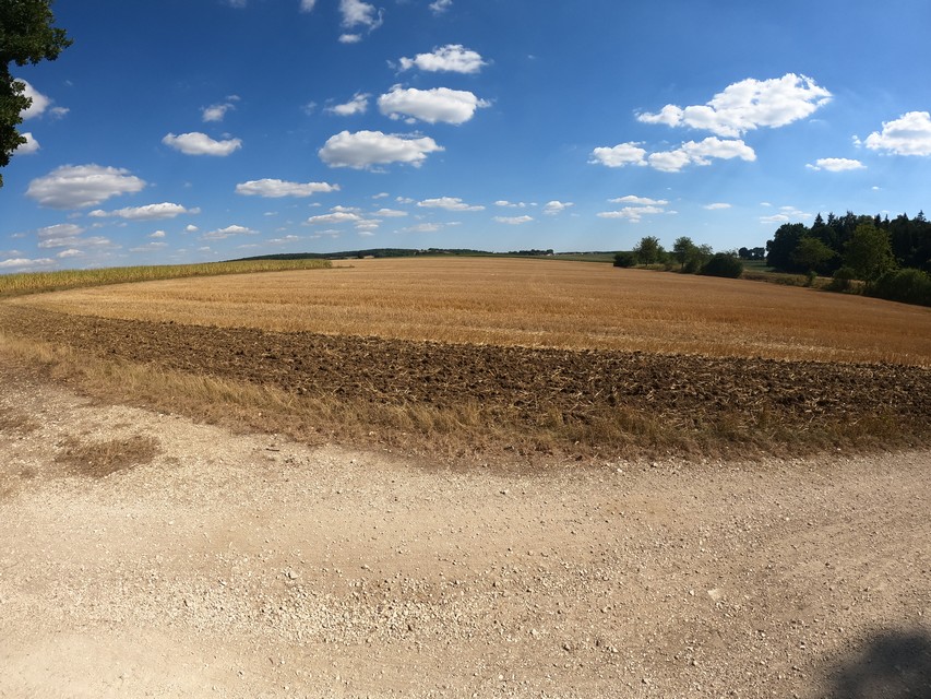 Di 09.08.2022 | Roding – Bad Gögging