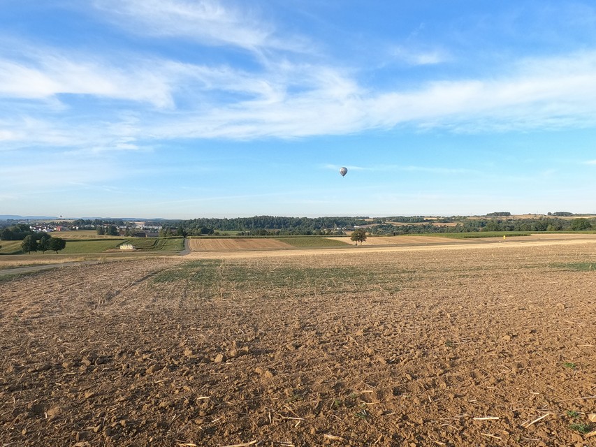 Ballonfahrer frühmorgens über Horb am Neckar