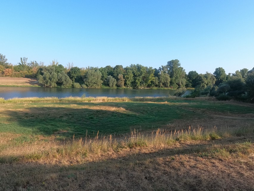 Der spiegelglatte Rhein