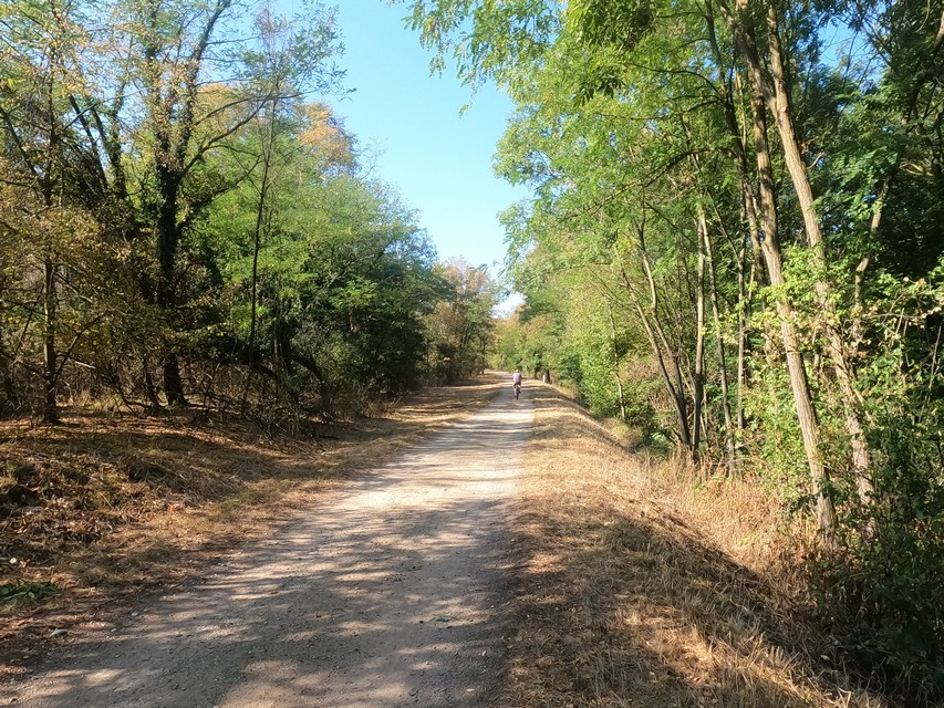 Di 16.08.2022 | Vogelgrun – Basel