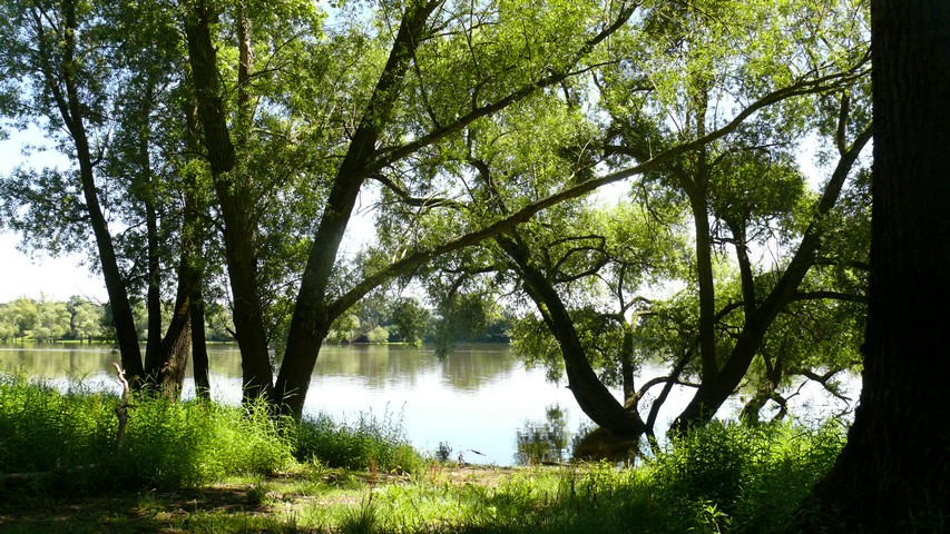 Mo 08.07.2024 | Verdun-sur-le-Doubs – Vonnas