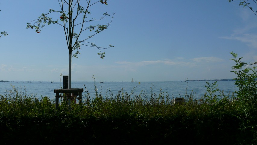 In Bregenz am Bodensee