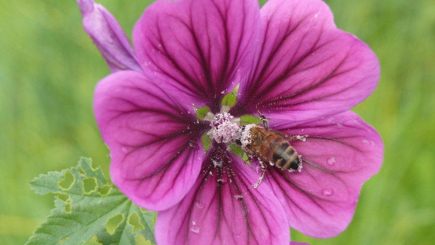 So 21.07.2024 | Wasserburg – Engen