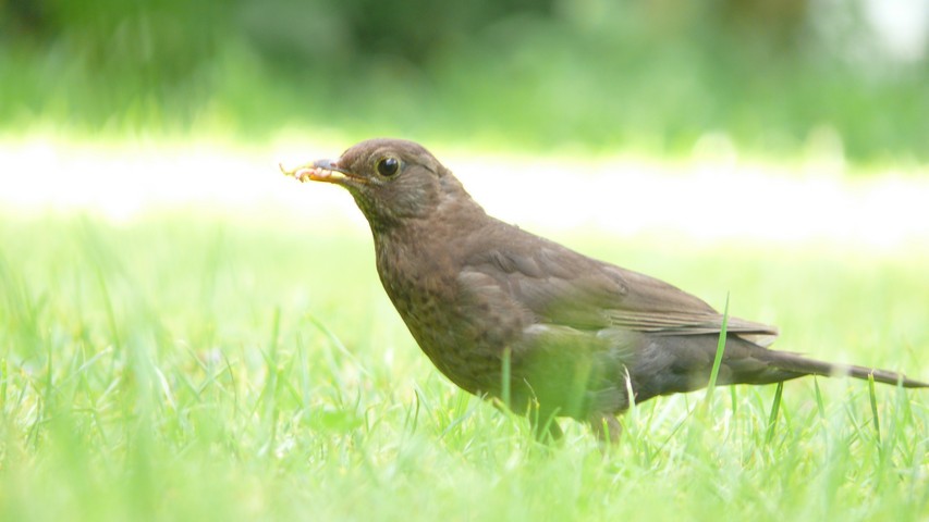Besucher auf der Zeltwiese