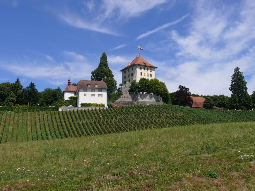 Schloss Heidegg