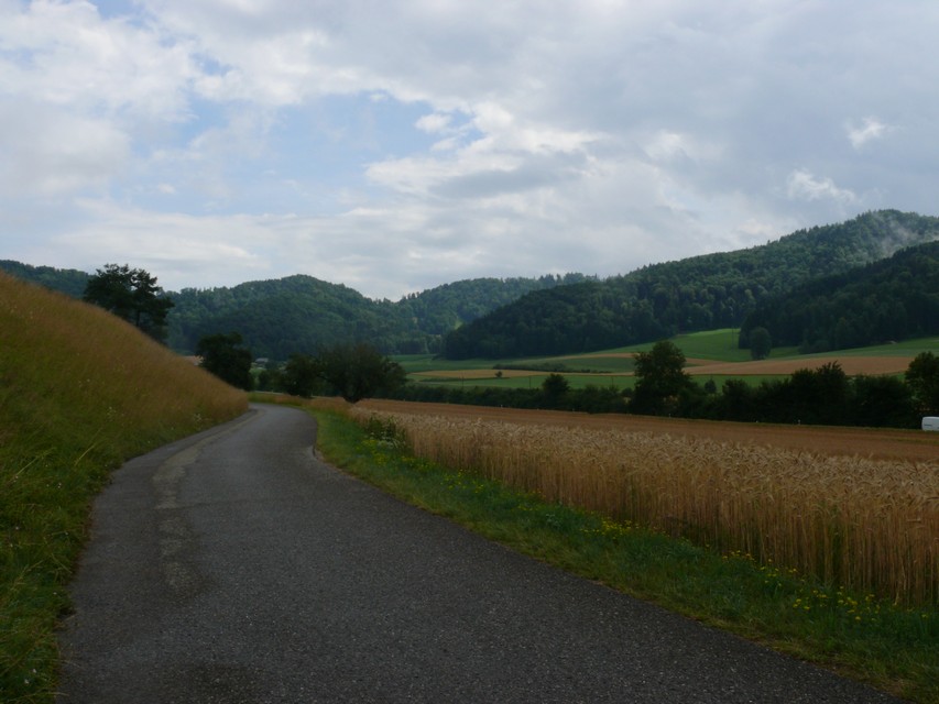 Panorama beim Mittagessen