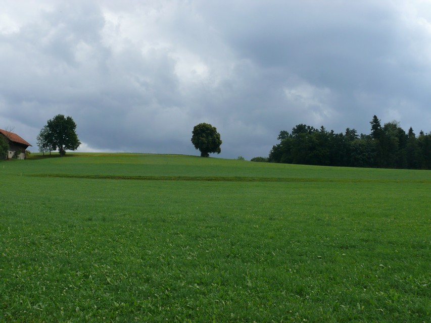 Bei Matzingen