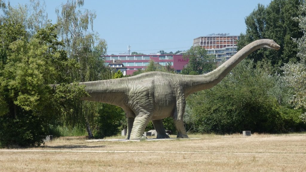 Dino kurz vor Basel