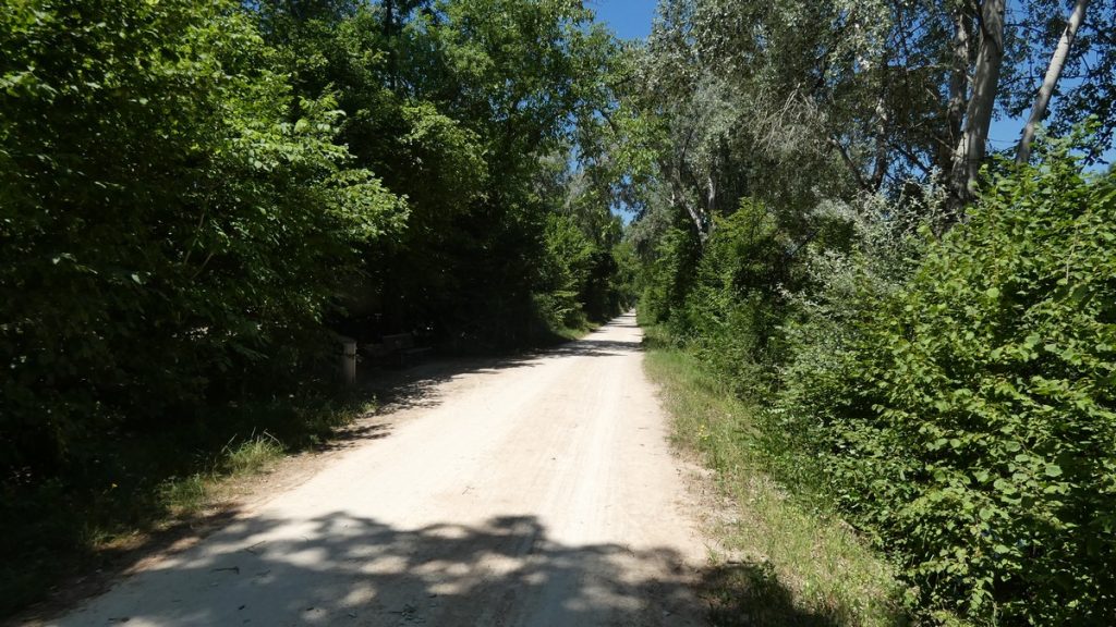 Petite Camargue Alsacienne