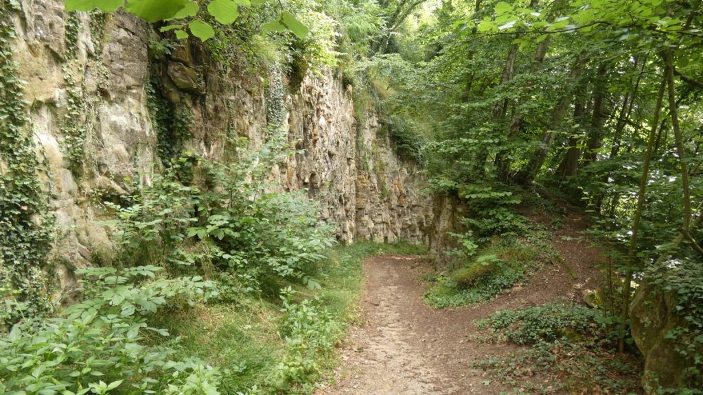 Auf dem Vauban-Weg