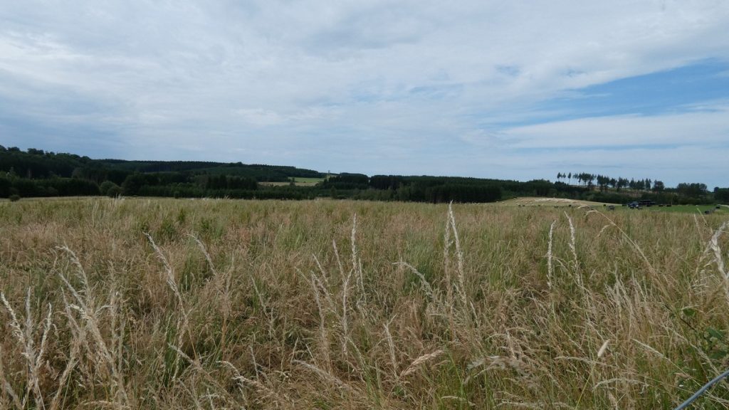 In den Ardennen