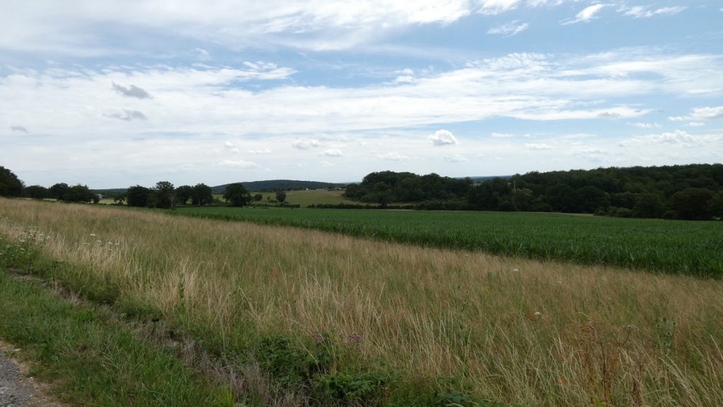 Heutige Landschaft
