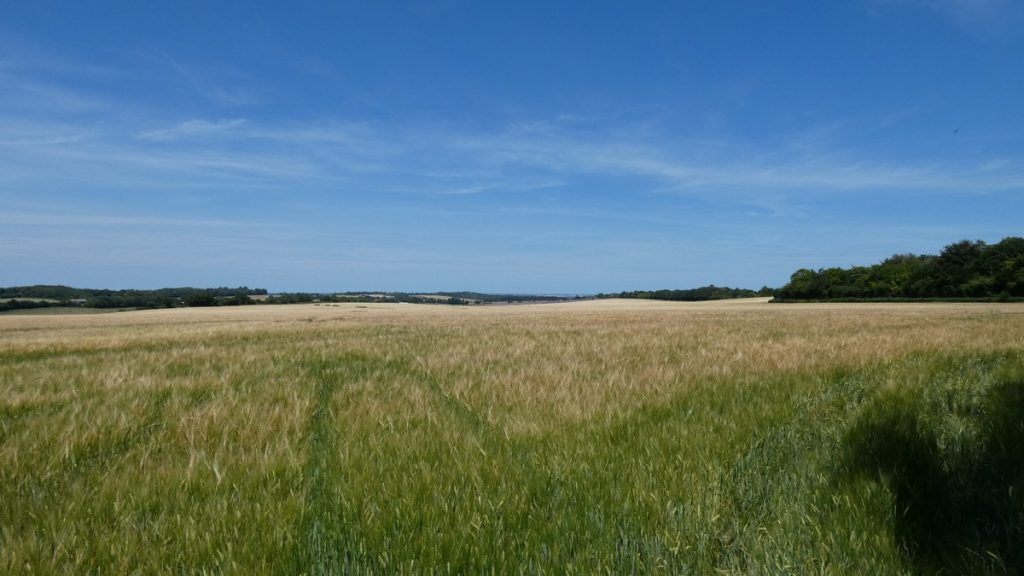 Englische Landschaft, wenn mal keine Hecke davorsteht...