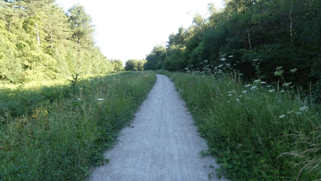 Singletrail - es ging heute aber auch noch deutlich schmaler daher!
