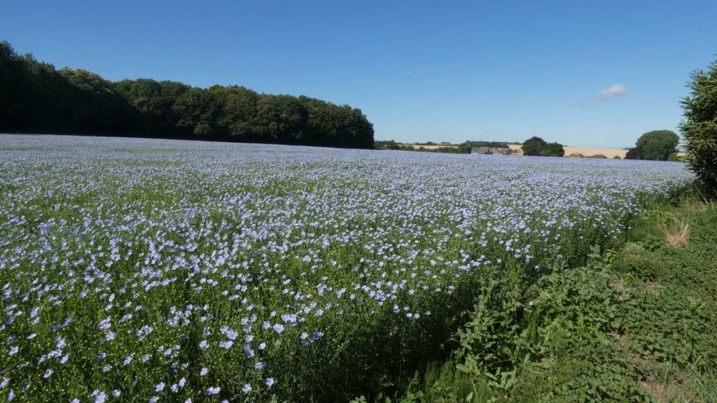 Kurz eine andere Landschaftsfarbe