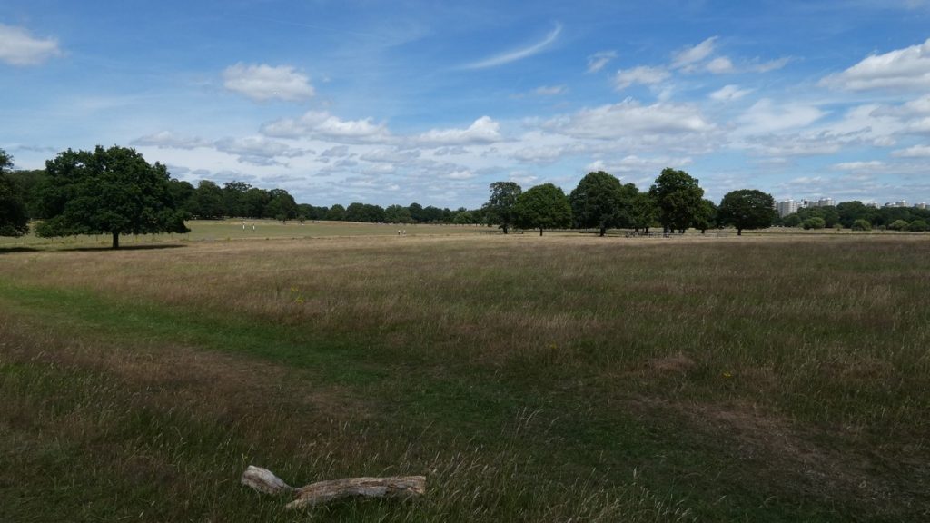 Richmond Park