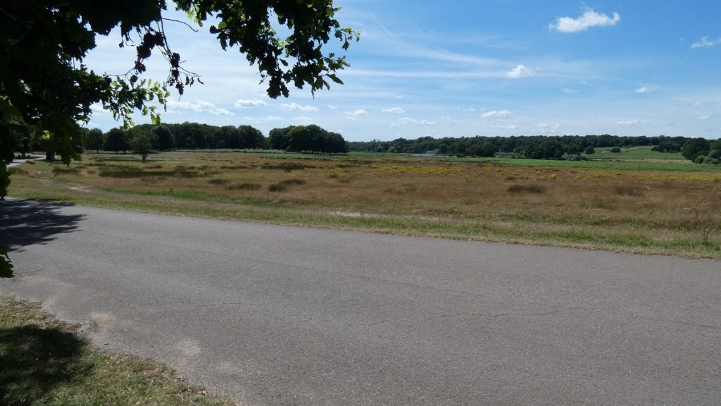 Richmond Park