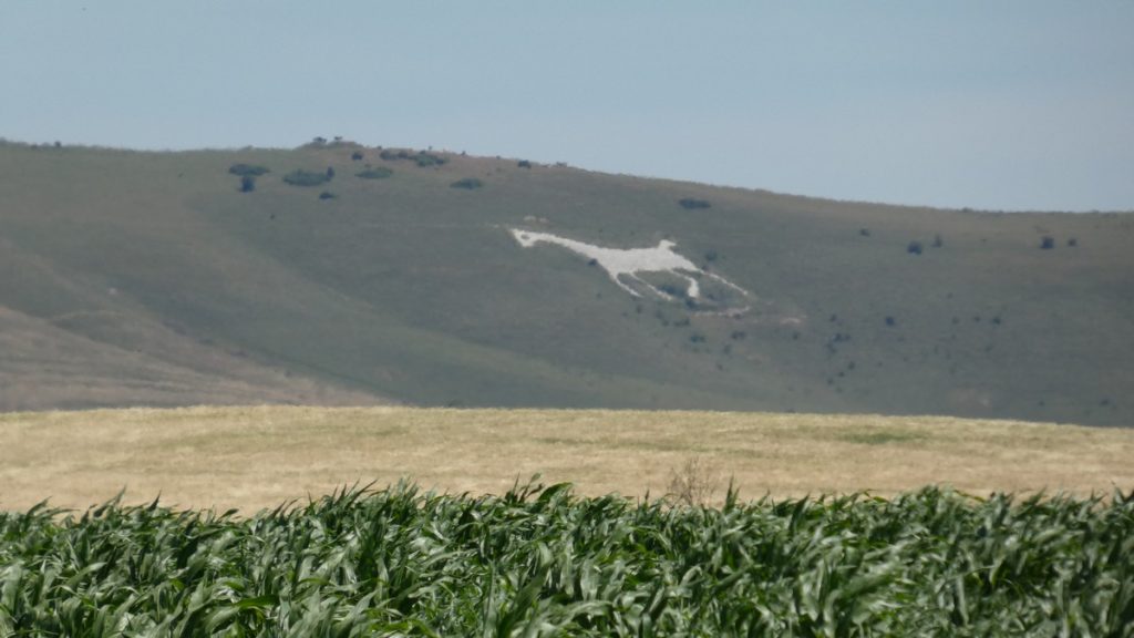 White Horse Hills