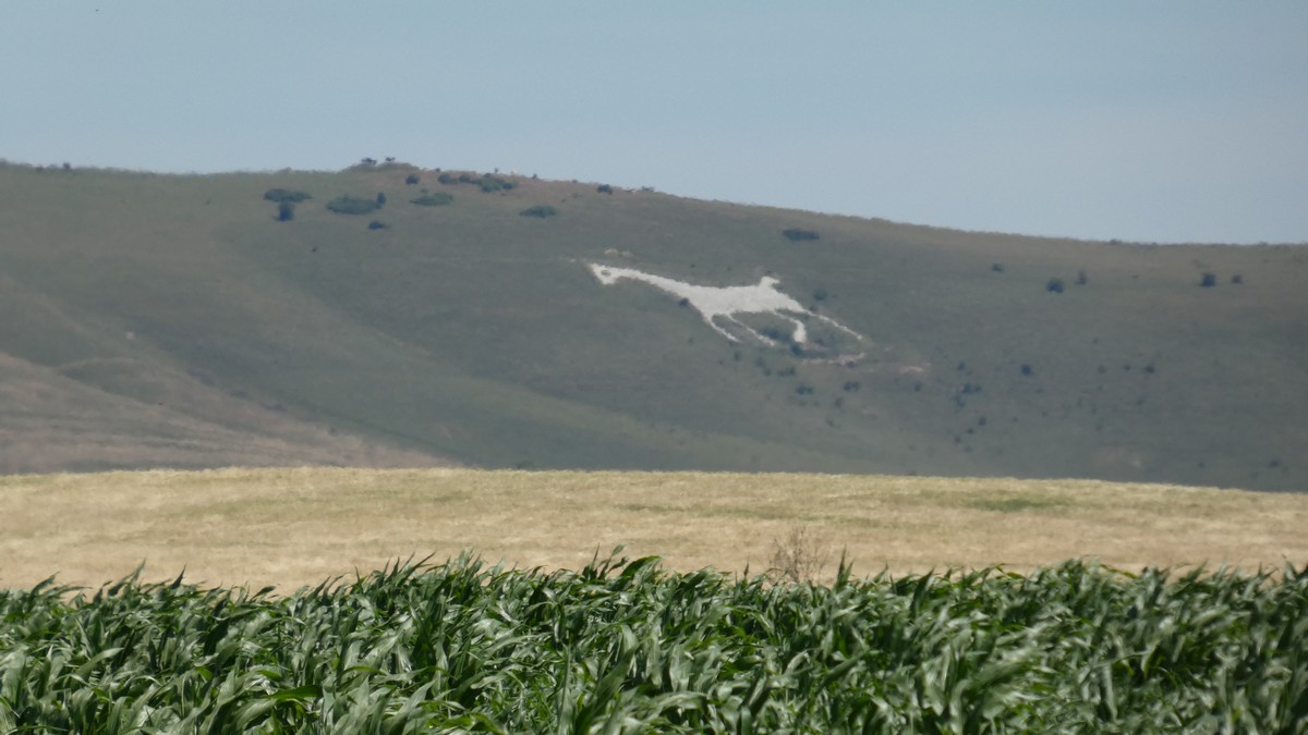 White Horse Hills