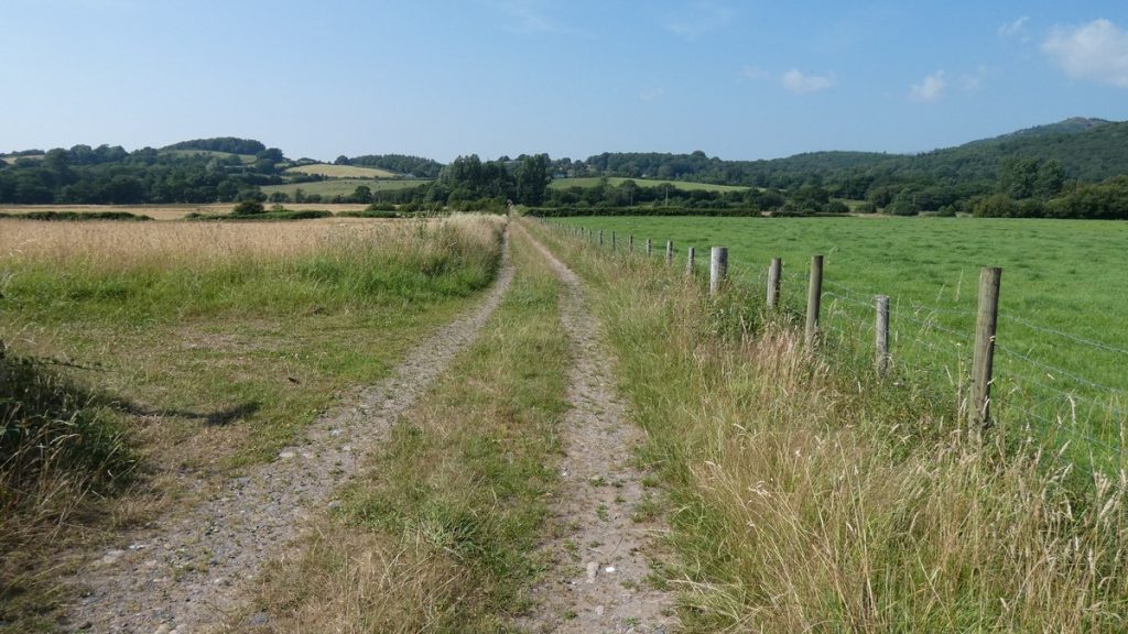 Radweg
