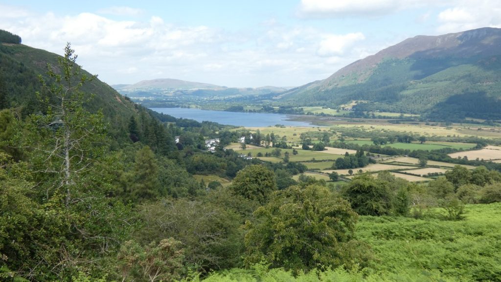 Auf der Abfahrt vom Whinlatter Pass