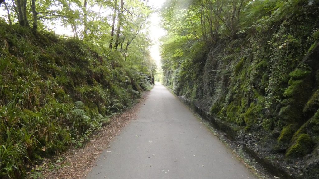 Auf dem Bahnradweg am frühen Morgen