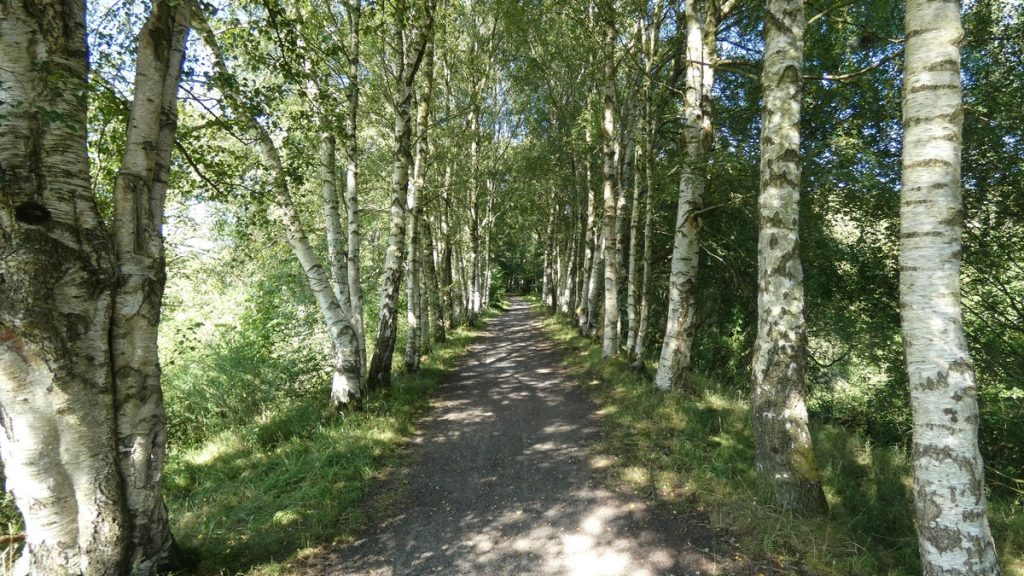 Bahnradweg am Abend