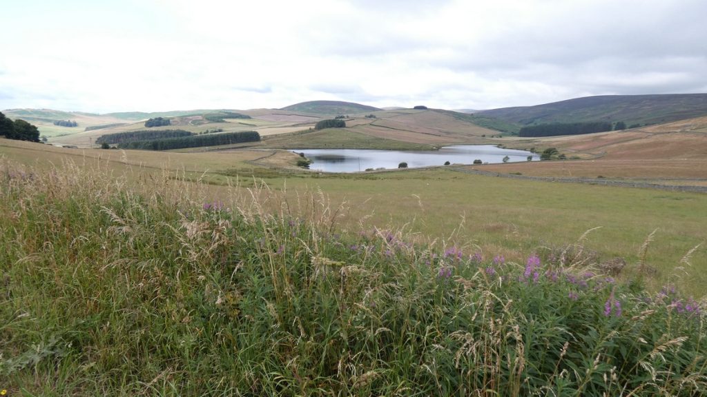 Malerische Landschaft