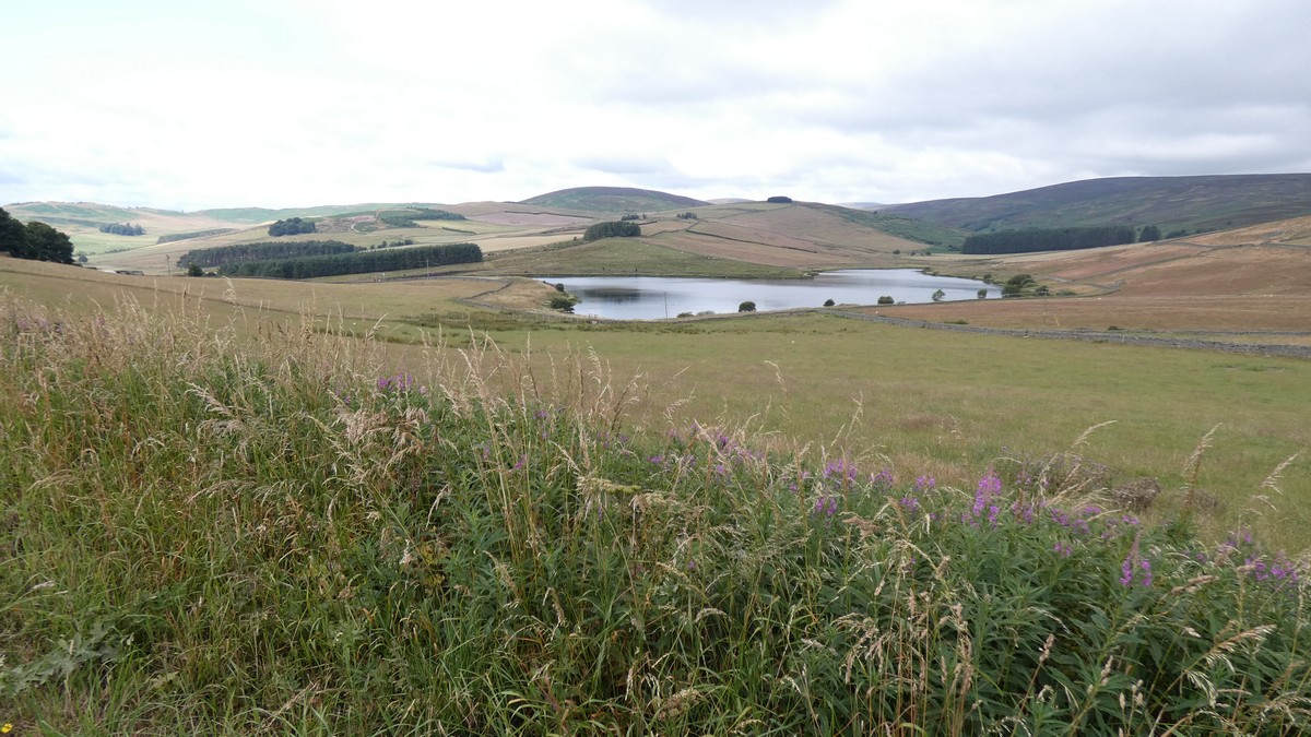 Malerische Landschaft